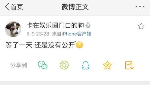 爆料在线吃瓜免费观看,免费在线吃瓜盛宴，带你畅游娱乐圈风云